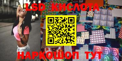 спиды Донской