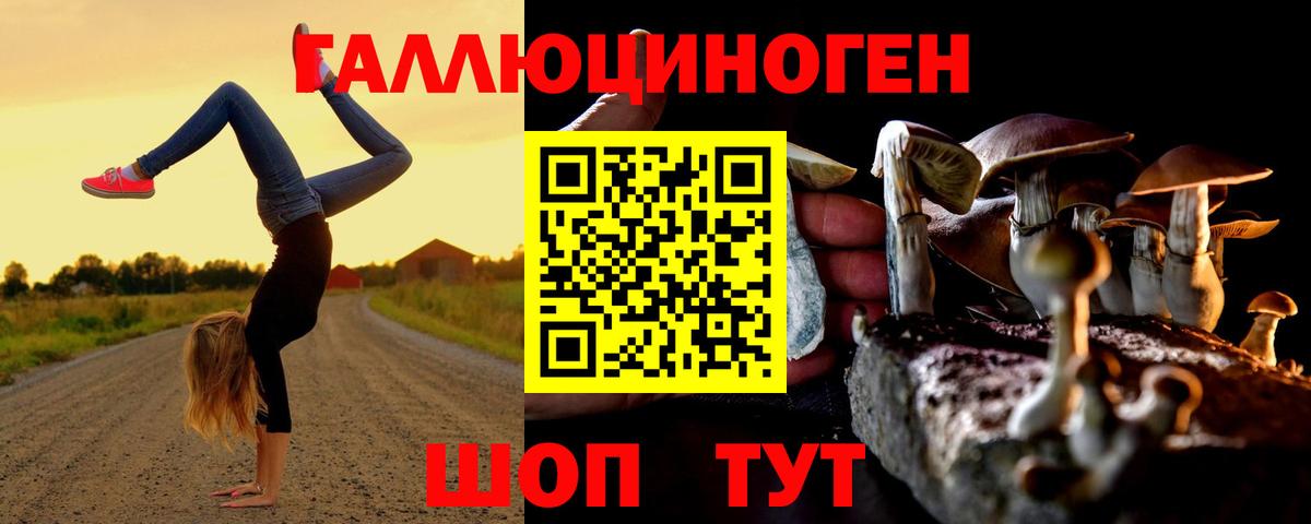 Псилоцибиновые грибы мицелий Волоколамск